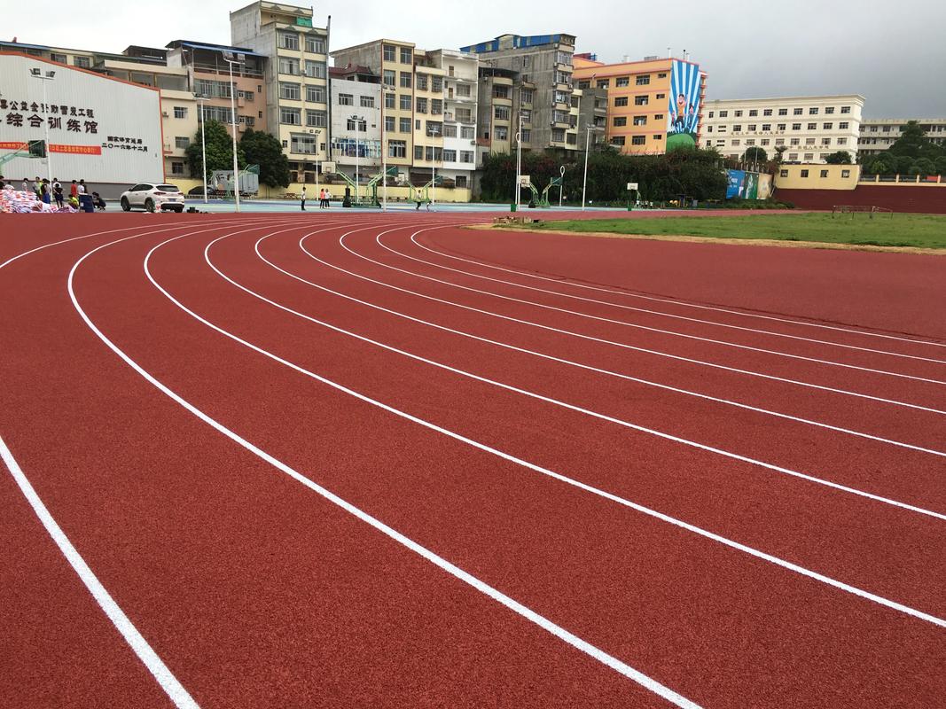 乐东黎族自治县人造草坪塑胶跑道材料 - 哪里好